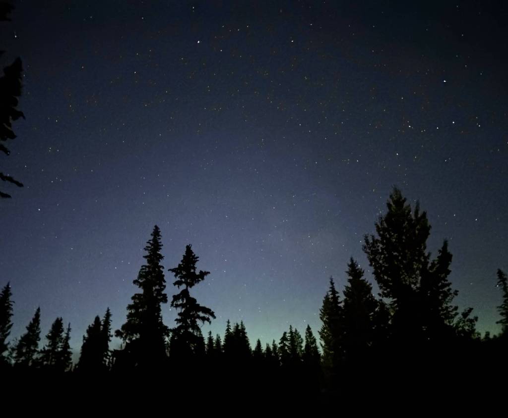 South Cariboo woman helps document 2025’s 1,052 Canadian UFO sightings - Rossland News